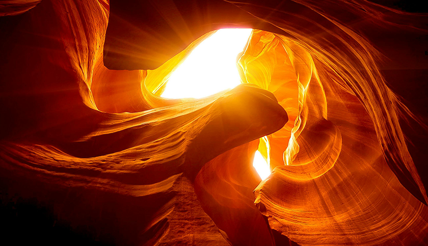 金年会金字招牌信誉至上入口制药盛装参展2024西鼎会，共绘健康产业新蓝图！